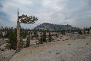 Yosemite-092